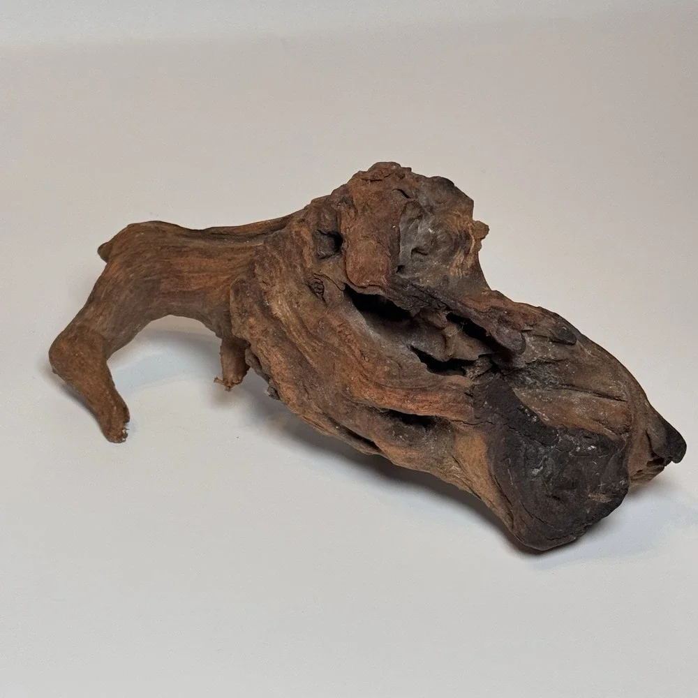 Natural Driftwood Root Sculpture Aquarium Aquascape Terrarium Wood 9.5